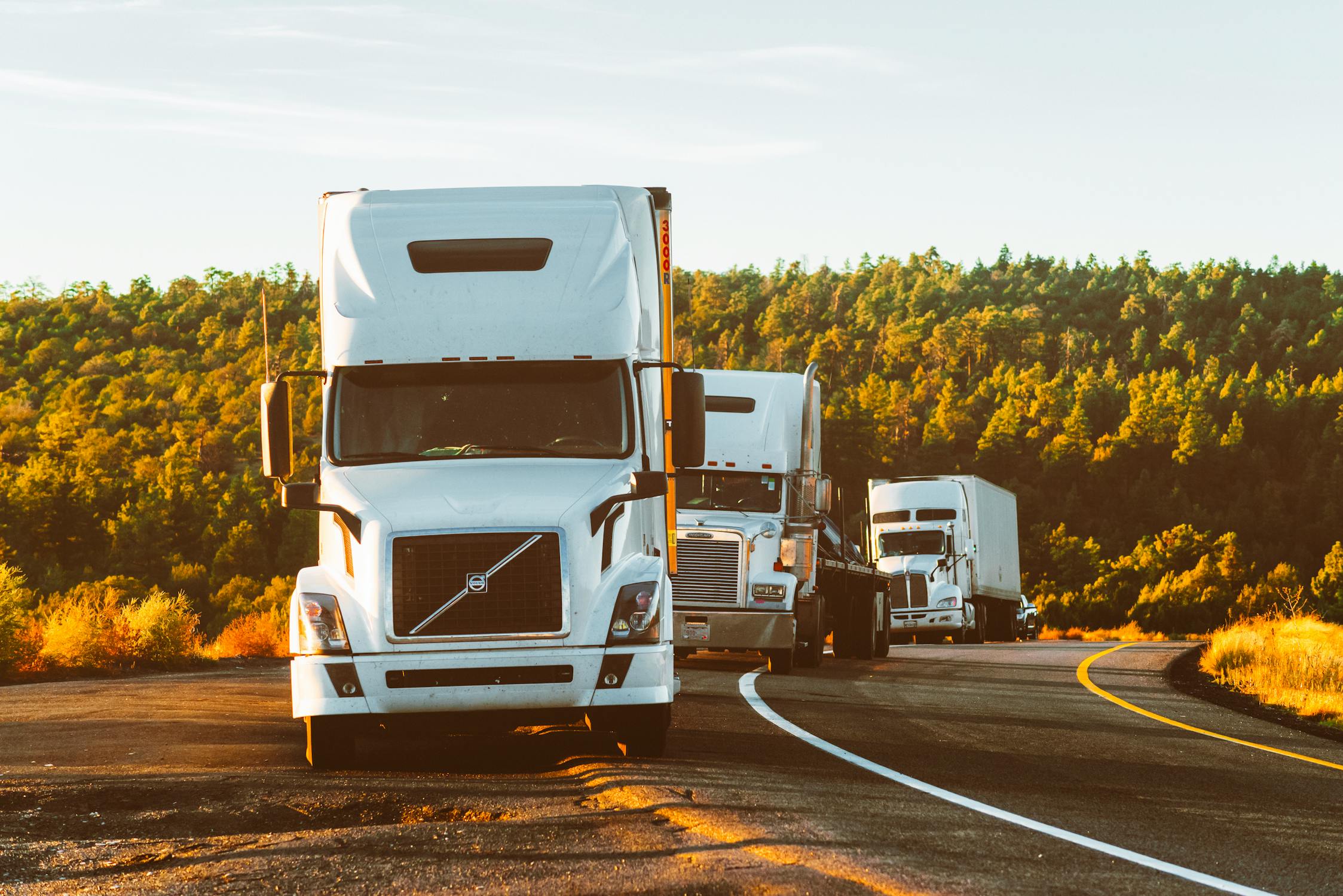 Commercial cargo loading operations for Reefer Trucks & Cold Chain Logistics Commercial cargo loading operations for Reefer Trucks & Cold Chain Logistics